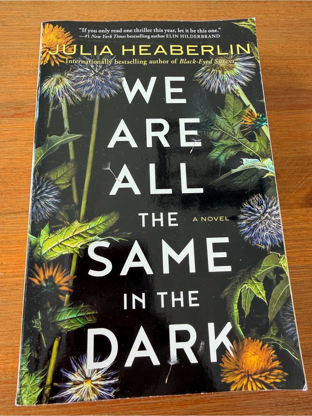 We Are All The Same In The Dark by Julia Heaberlin in paperback